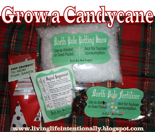 Grow a Candycane Kids ACtivity