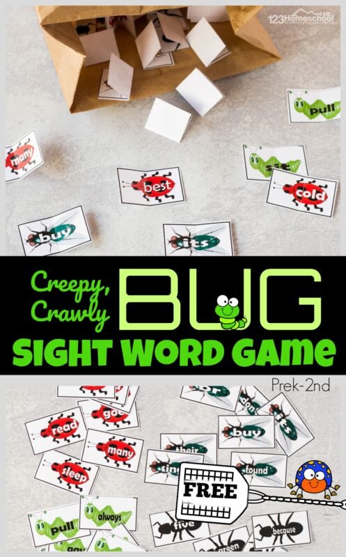 Make practicing sights words FUN with this cute Bug Sight Words Game for preschool, pre k, kindergarten, 1st grade, and 2nd grade students to practice common dolche words.  