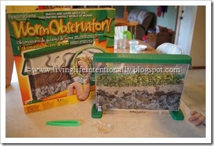 Worm Observatory - Science FUn for Preschoolers Worm Observatory - Science FUn for Preschoolers