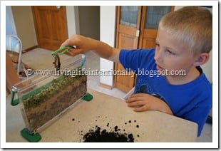 Worm Observatory - Science FUn for Preschoolers Worm Observatory - Science FUn for Preschoolers