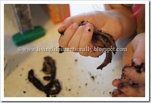 Preschool Worm Observations Preschool Worm Observations