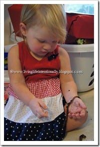 Preschool Worm Observations Preschool Worm Observations