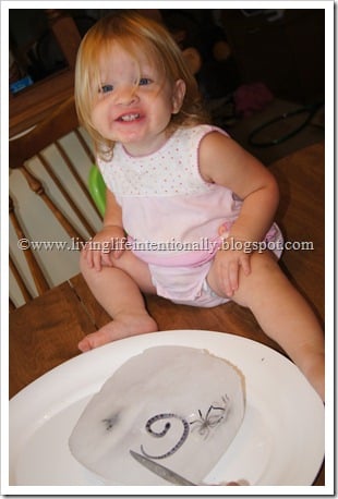 Preschoolers Exploring Science of Ice and Insects Preschoolers Exploring Science of Ice and Insects