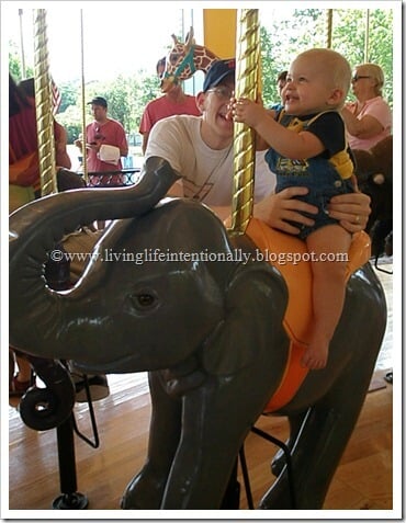Elephant fun at the zoo Elephant fun at the zoo