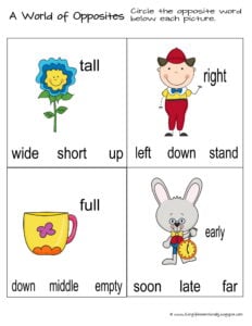 pposites worksheet