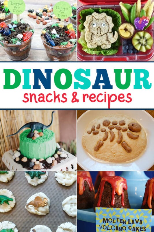 These fun dinosaur snacks and recipes are perfect if you are hosting a  dinosaur themed party, or as a fun treat. They are also a great hands on learning activity for any dinosaur themed learning unit.