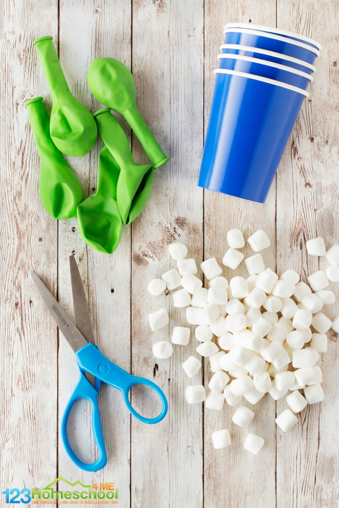 Marshmallow Shooter Summer Activity for Kids