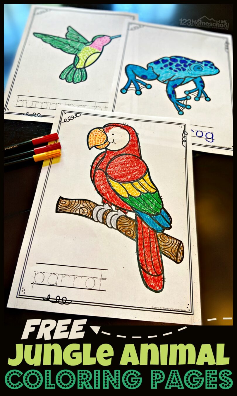 🦜FREE FREE Printable Jungle Animal Coloring Pages pdf