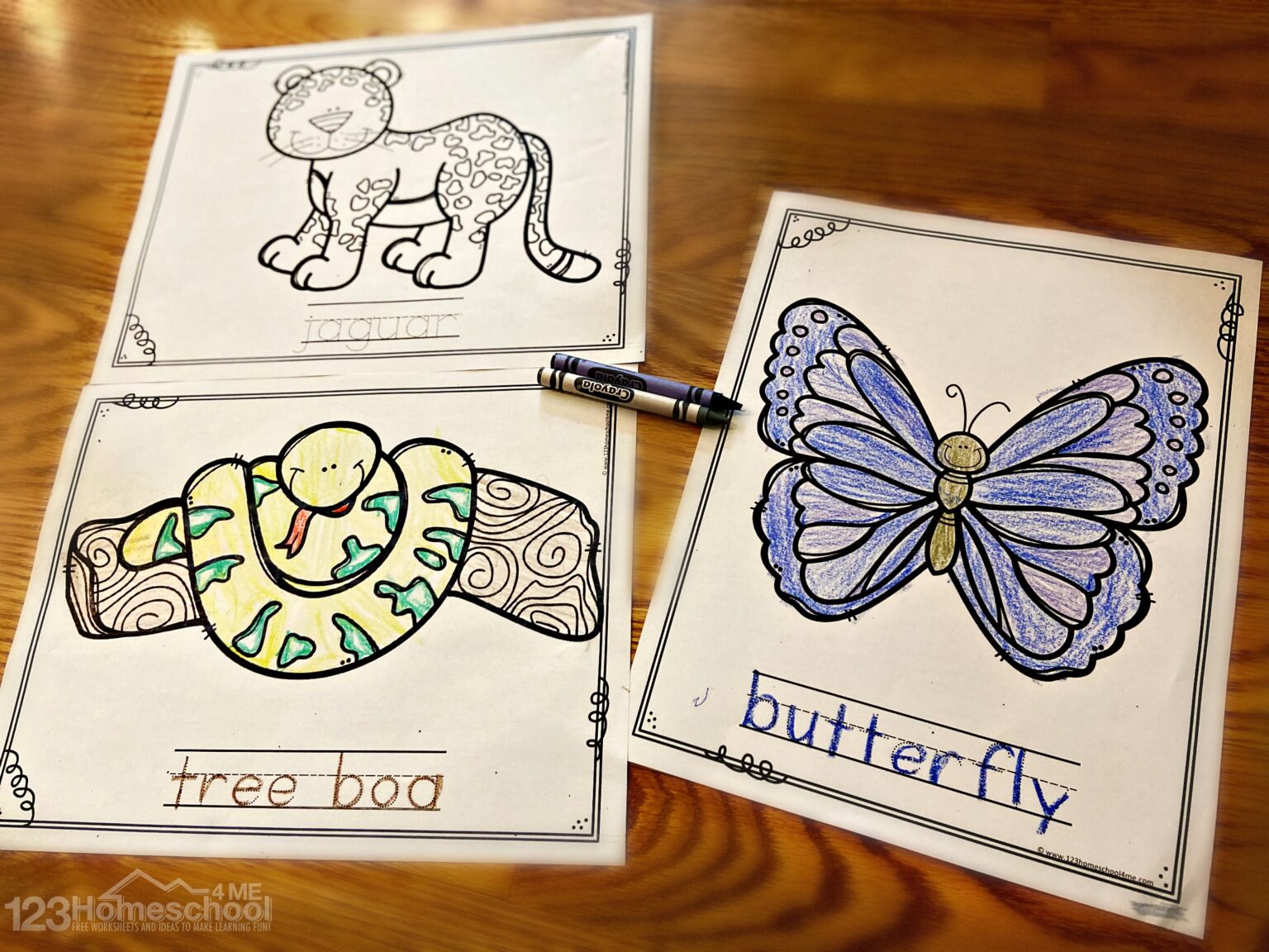 🦜FREE FREE Printable Jungle Animal Coloring Pages pdf