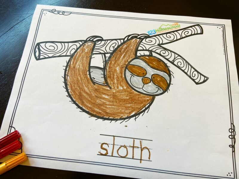 jungle theme coloring pages; pictured is a brown sloth