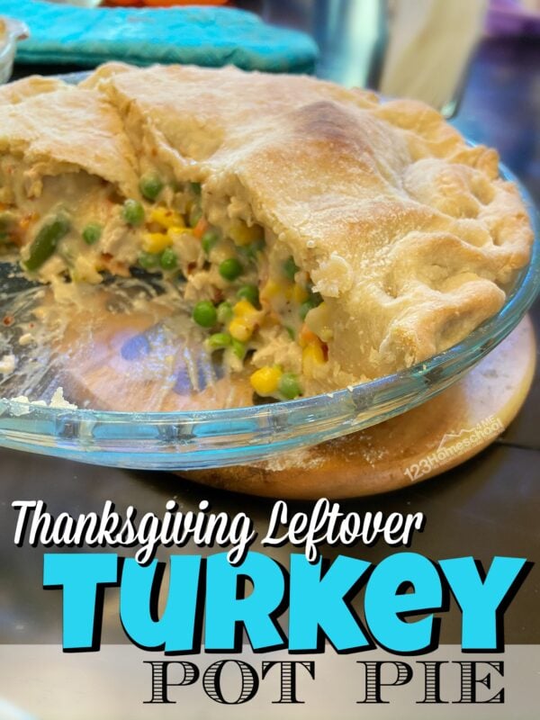 This Pot Pie Recipe is super easy and great for using up leftover turkey or chicken. Such a flavorful sauce in this yummy dinner recipe!