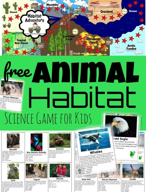 🐘🐪🦍FREE Printable Animal Habitat Game Exploring Biomes for Kids