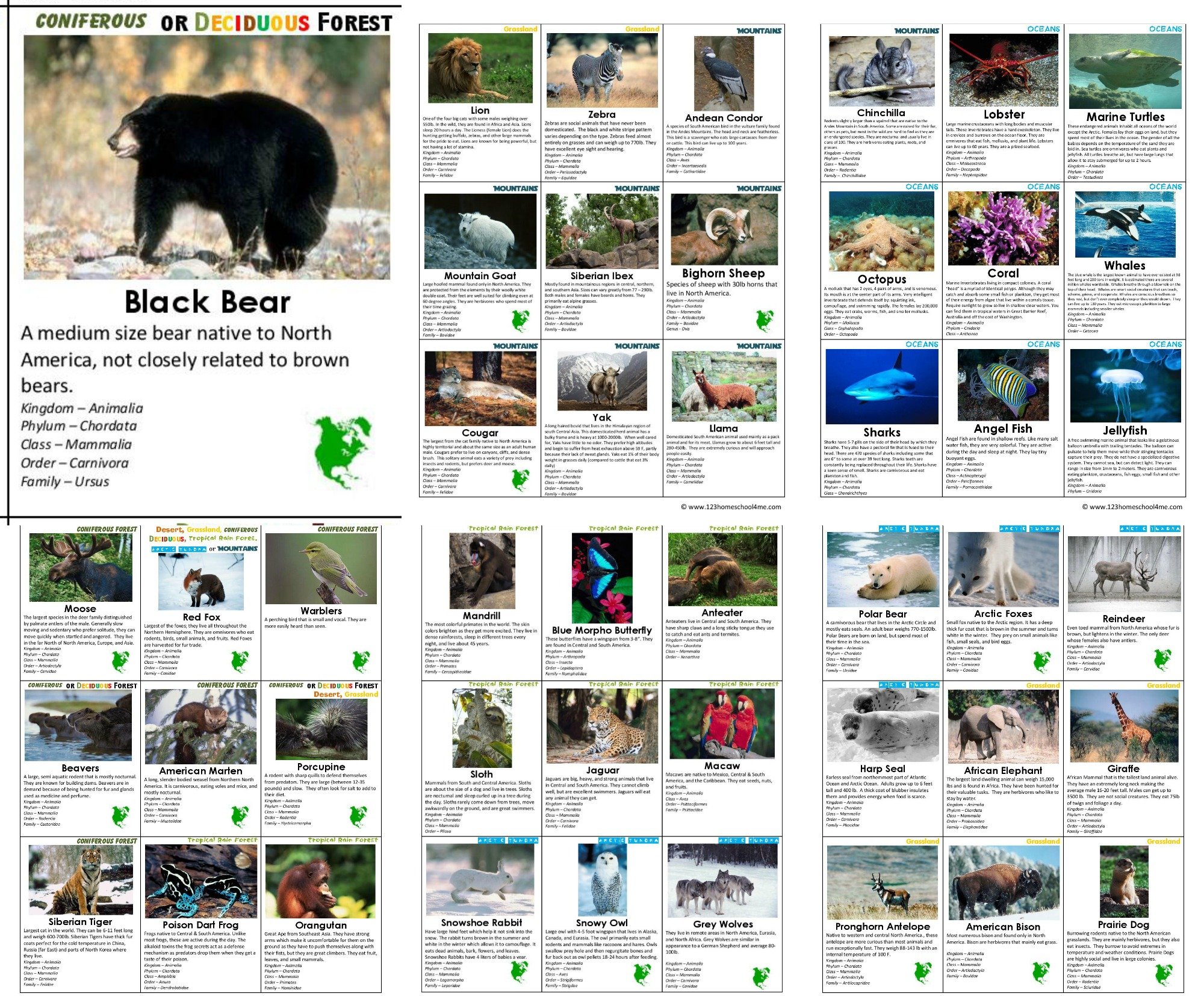 free habitat game exploring biomes