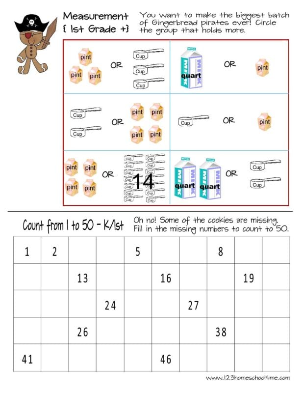 Gingerbead Measurement