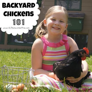 Backyard Chickens 101