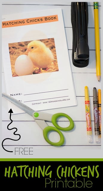 FREE Chicken Hatching Book - this is a great resource! This free printable not only teaches kids about the life cycle of a chicken, but gives them space to write down their observations as they watch chicks hatch FREE Chicken Hatching Book - this is a great resource! This free printable not only teaches kids about the life cycle of a chicken, but gives them space to write down their observations as they watch chicks hatch