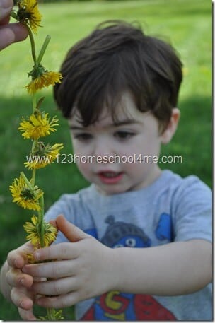 How To Make A Flower Crown