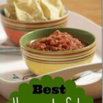 Best Homemade Salsa Recipe