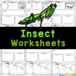 🦗🦟🦋🐞 FREE Printable Insect Worksheets for Kids