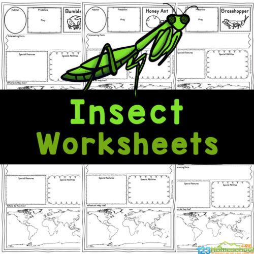 🦗🦟🦋🐞 FREE Printable Insect Worksheets for Kids