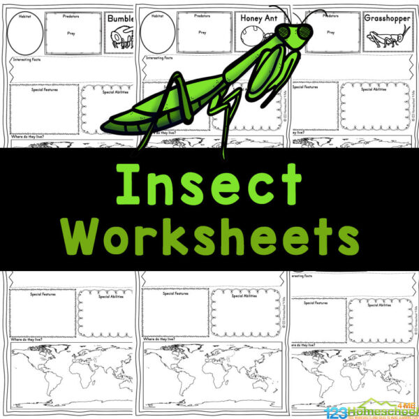 🦗🦟🦋🐞 FREE Printable Insect Worksheets for Kids