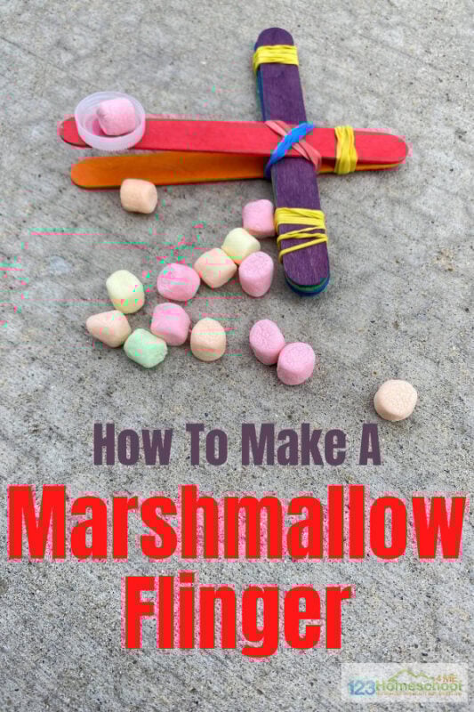 easy-popsicle-stick-catapult-stem-activities-for-kids