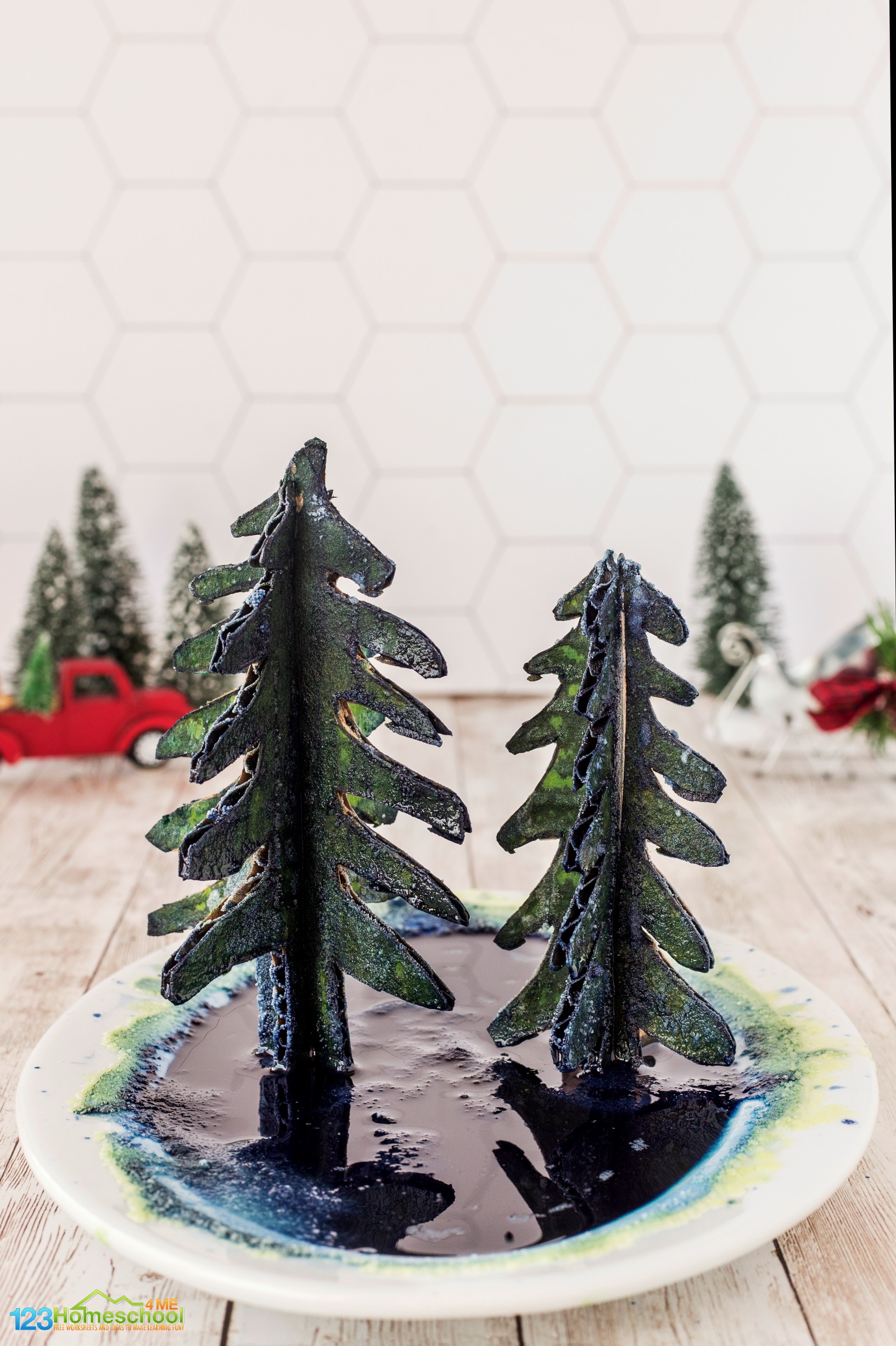 EASY Grow a Christmas Tree Science Project