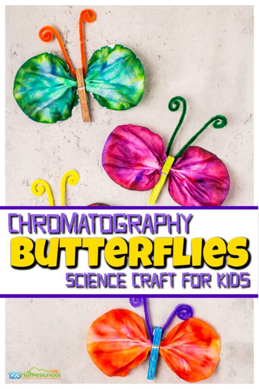 This beautiful butterfly craft for kids helpds kids explore science by making stunning chromatography butterflies! This easy butterfly craft is fun for preschool, pre-k, kindergarten, first grade, 2nd grade, 3rd grade, and 4th graders. Besides creating a fun butterfly craft idea, you will learn about chromatography for kids. This is a fun coffee fitler craft, spring science experiment or summer activity for kids!