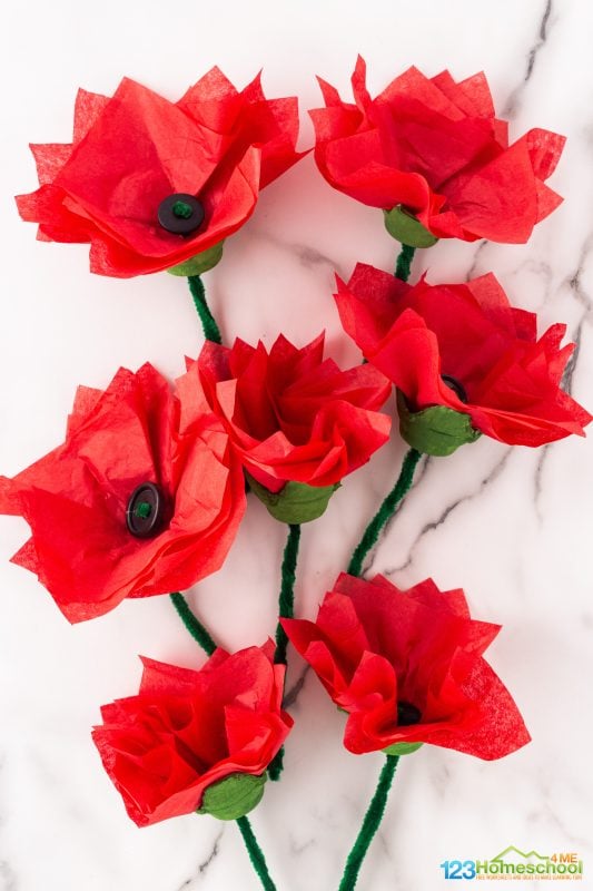Arts and crafts poppies