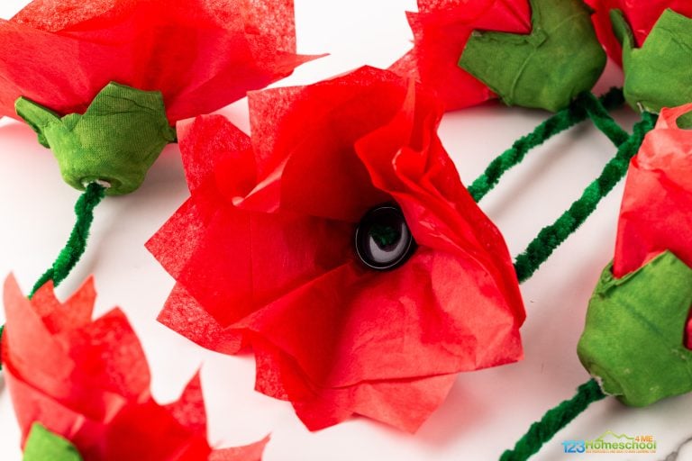 Create beautiful poppy crafts using tissue paper and egg cartons for a fun, easy project perfect for summer or WWI remembrance day!
