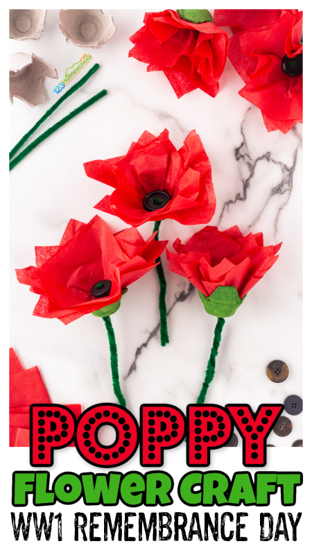 Looking for a fun summer flower craft? You'll adore these beautiful poppy creations! Using just tissue paper and an egg carton, this easy art project is perfect for kids of all ages. Whether you're celebrating summer, honoring World War I Remembrance Day in November, or just feeling creative, this poppy craft is a delightful way to brighten your day. Get crafting and let your imagination blossom!