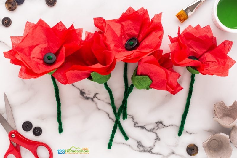 All you need to make a pretty bouquet of poppy flowers are a few simple materials:

red tissue paper
egg carton
small buttons ( any color )
green chenille stems / pipe cleaners
paint and paintbrush
scissors