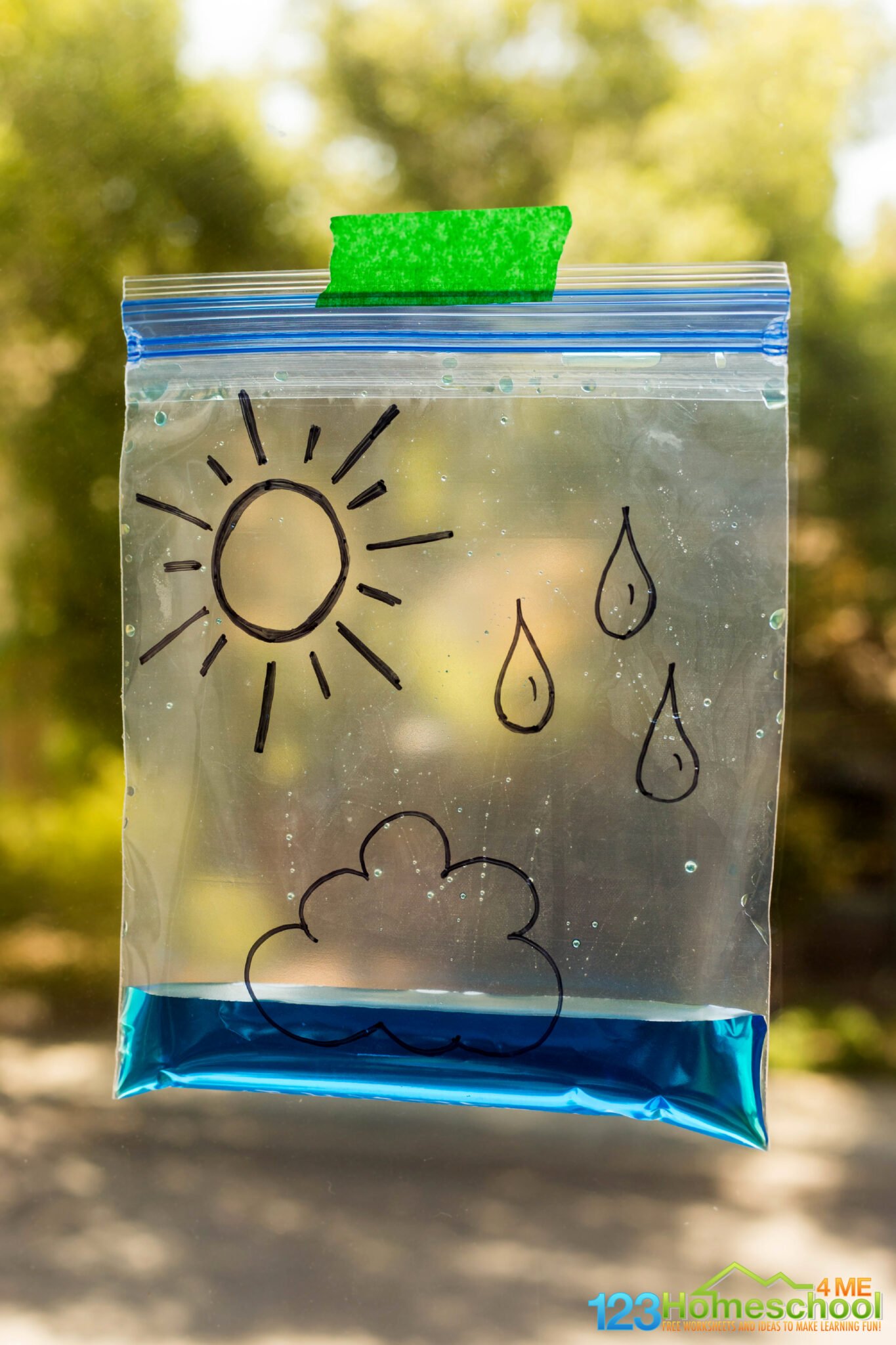 🌧 Water Cycle in a Bag Weather Activity for Kids w/ Free Worksheet