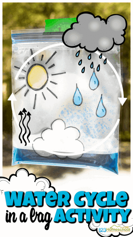Learning about weather is fascinating to kids who are very aware of the weather around them. But how water becomes clouds that eventually will rain down again in the water cycle for kids can be confusing! This simple water cycle in a bag project is a great way for kids to visualize the whole process from their classroom or kitchen window. You can use this water cycle activity with pre-k, kindergarten, first grade, 2nd grade, 3rd grade and up. We've also included water cycle in a bag worksheet to enhance your learning!