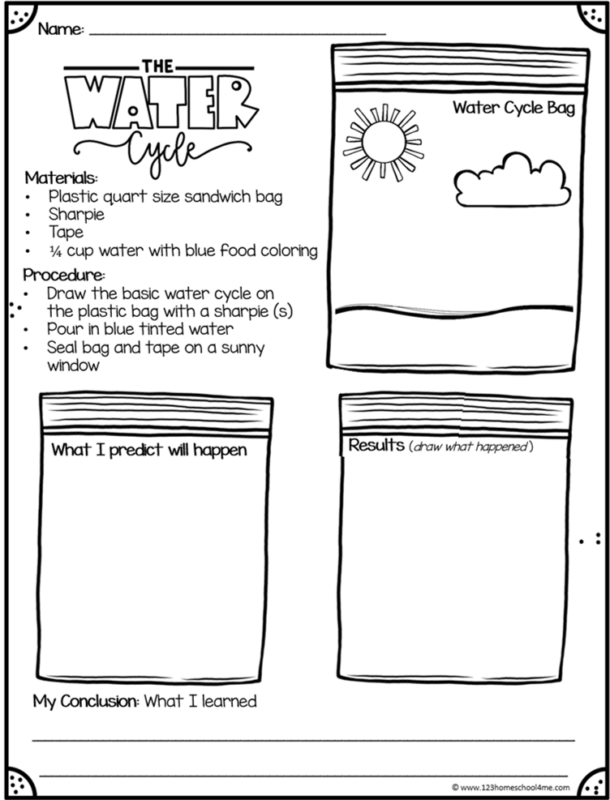 water cycle in a bag worksheet