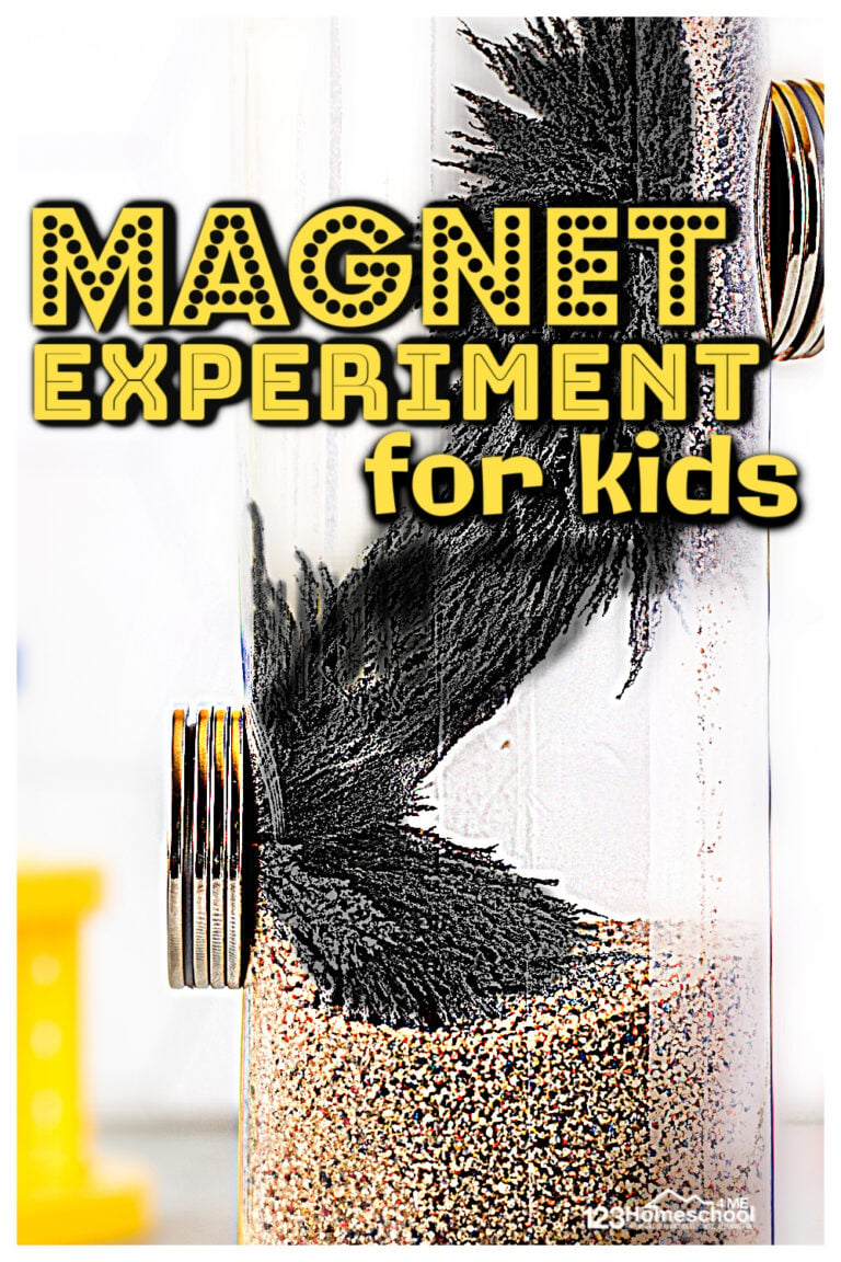 30 AMAZING Dry Ice Science Experiment for Kids