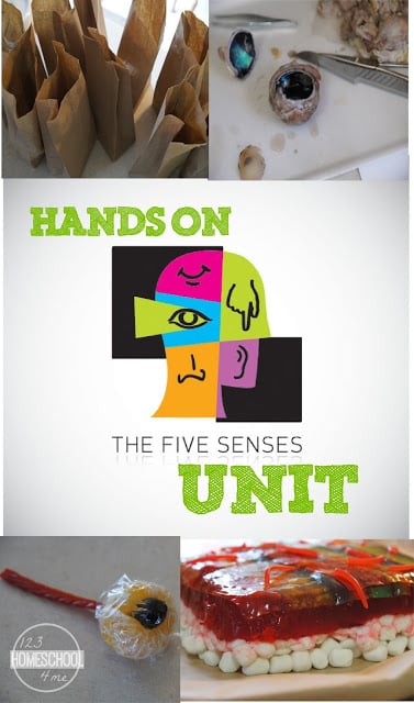 FREE Five Senses Unit for preschool, kindergarten, homeschool - so many fun, hands on science activities for kids to explore taste, smell, see, hear, and feel. GREAT IDEAS! FREE Five Senses Unit for preschool, kindergarten, homeschool - so many fun, hands on science activities for kids to explore taste, smell, see, hear, and feel. GREAT IDEAS!