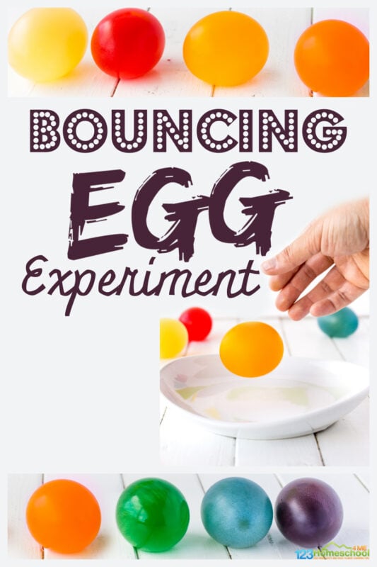 ? Colorful Bouncy Egg Science Experiment