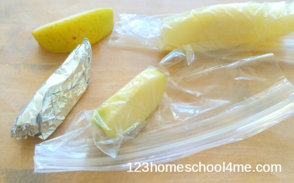 fall science project for kids - stop apples from turning brown fall science project for kids - stop apples from turning brown