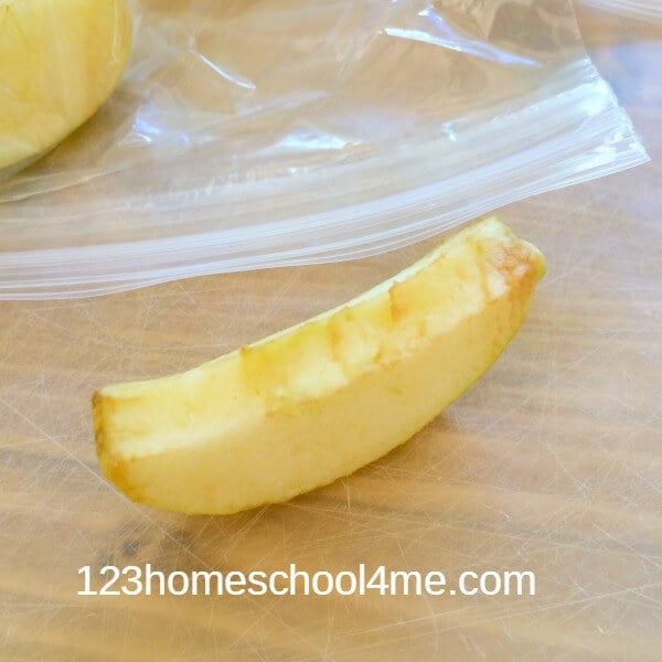 why do apples turn brown? An engineering challenge with apples why do apples turn brown? An engineering challenge with apples