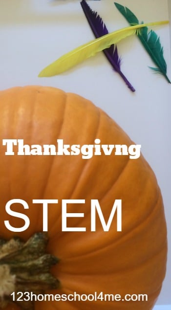 Thanksgiving STEM Project Thanksgiving STEM Project