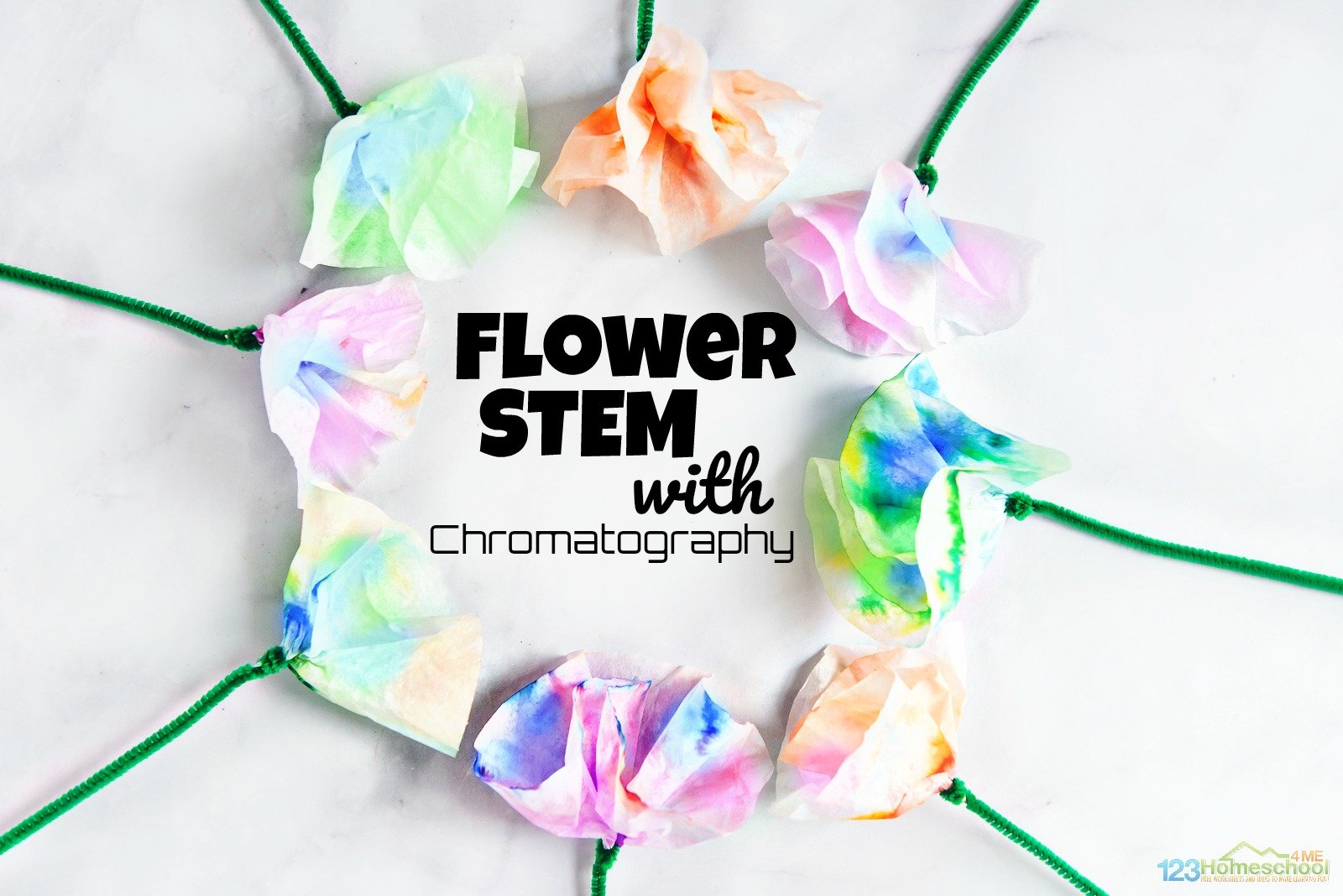 Paper Chromatography: The Art & Science of Color