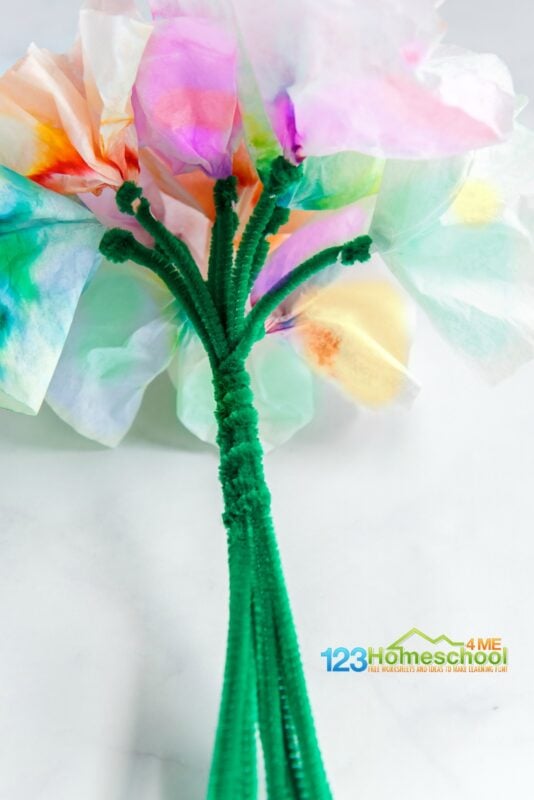 Beautiful Chromatography Flowers Science Project