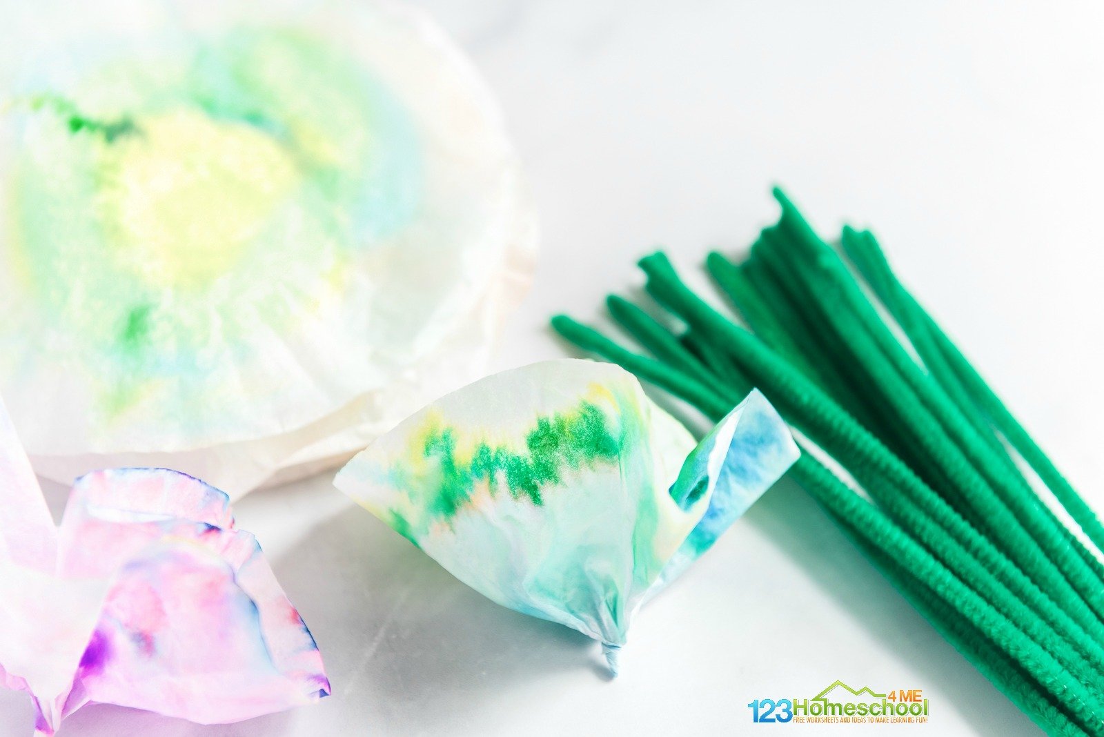 🌸 Beautiful Chromatography Flowers Science Project for Kids