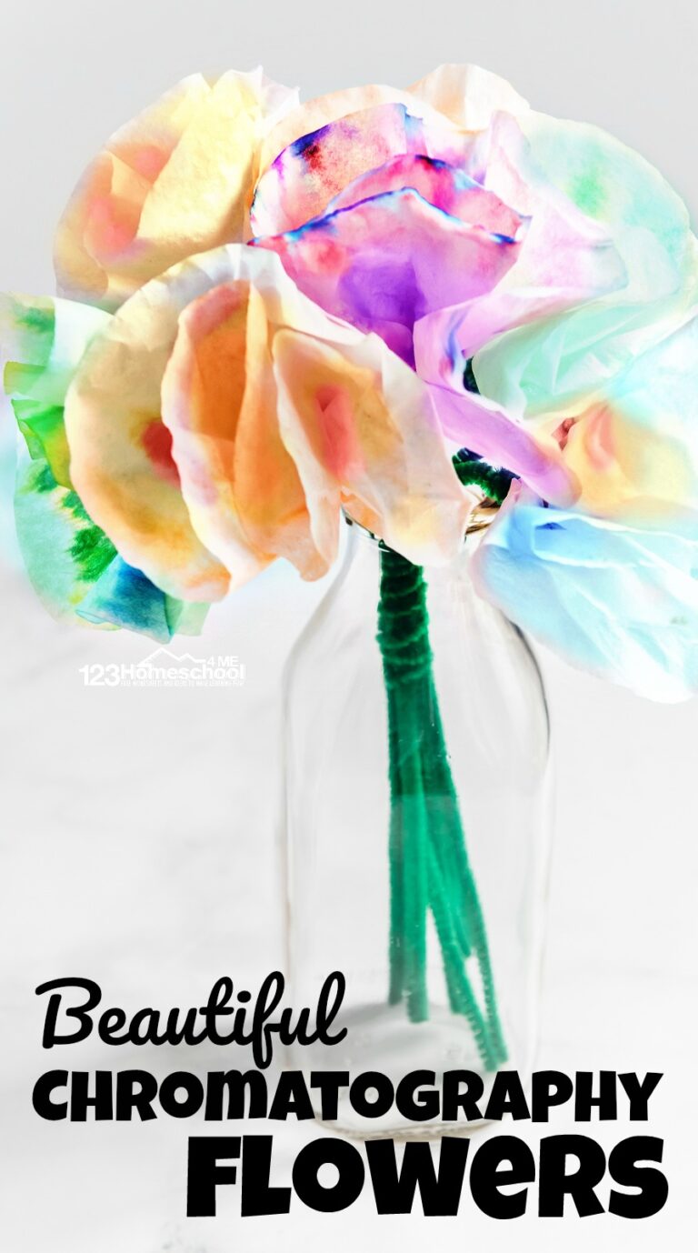 🌸 Beautiful Chromatography Flowers Science Project for Kids