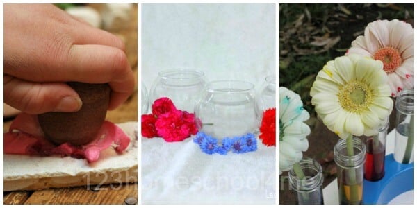 Creative Ways to Learn with Flower Creative Ways to Learn with Flower