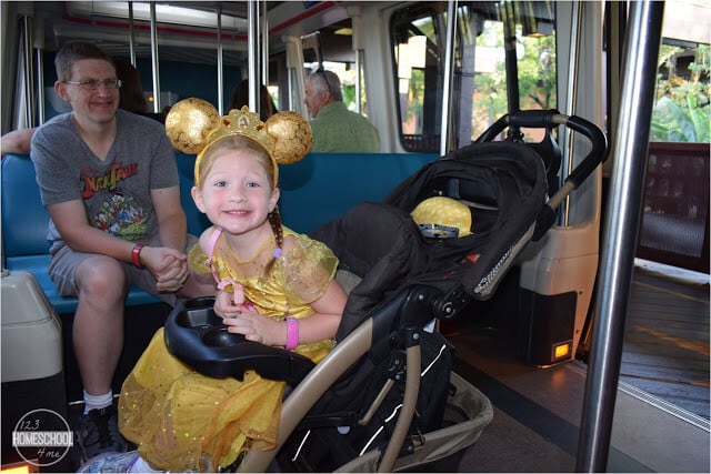 bringing a stroller to Disney World bringing a stroller to Disney World