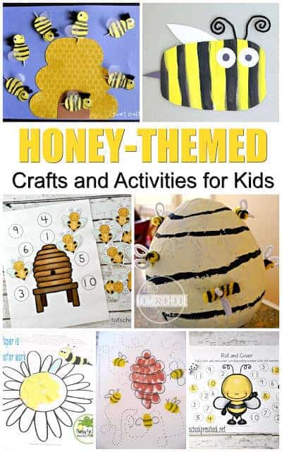 Bee Information for Kids: Bumblebee & Honey Bee Facts