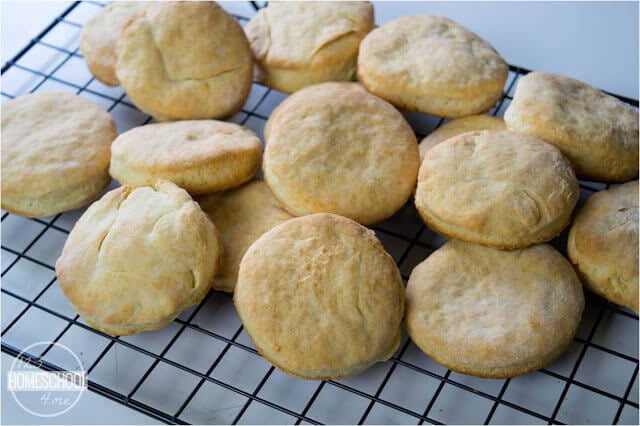 biscuit recipe biscuit recipe