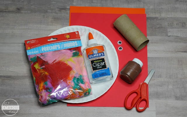 feathers, construction paper, toilet paper roll, glue, google eyes feathers, construction paper, toilet paper roll, glue, google eyes